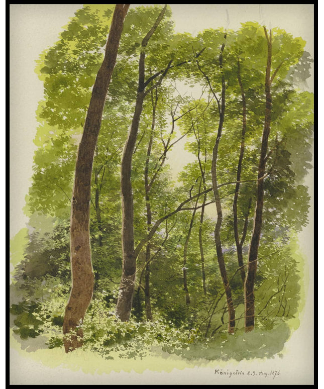 C. T. Reiffenstein Poster