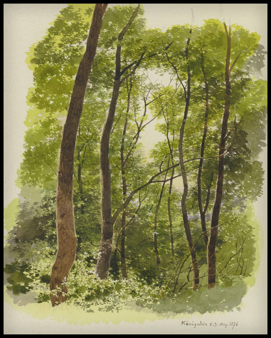 C. Poster de T. Reiffenstein