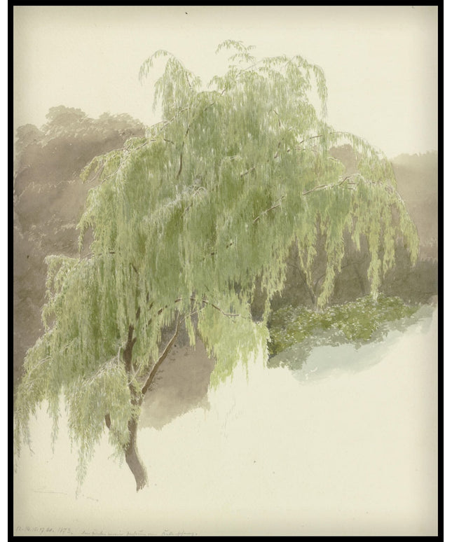 C. T. Reiffenstein Poster