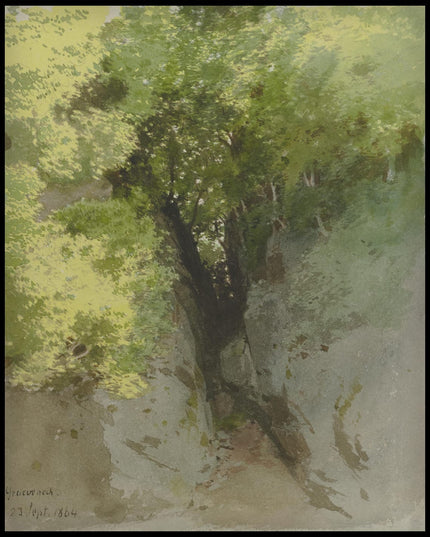 C. T. Reiffenstein Poster