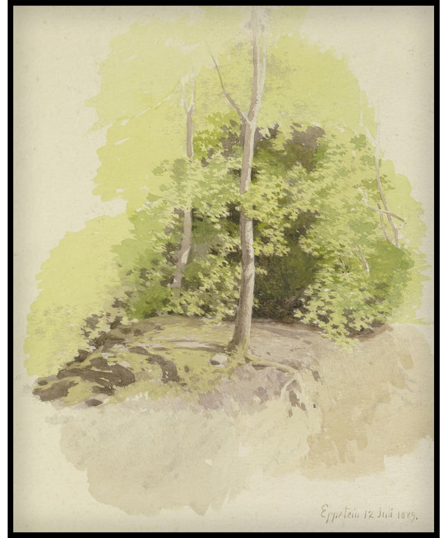 C. T. Reiffenstein Poster