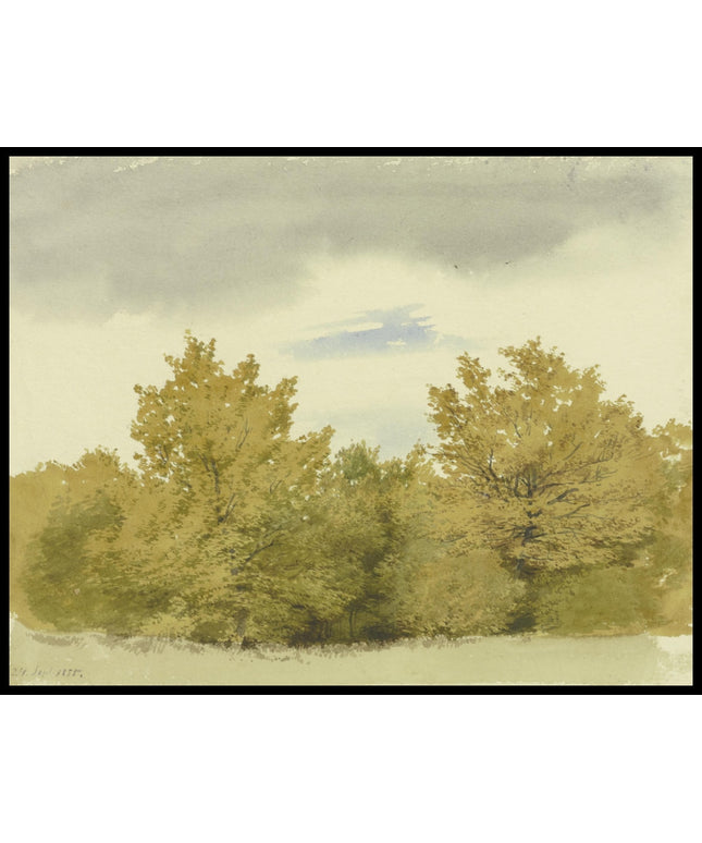 C. T. Reiffenstein Poster