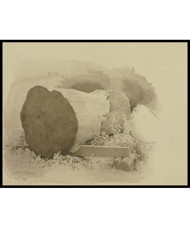 C. T. Reiffenstein Poster