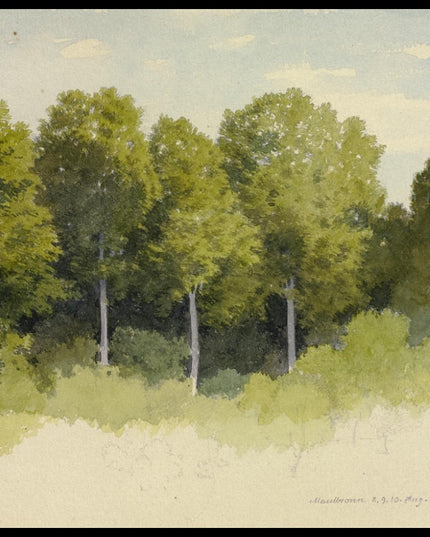 C. T. Reiffenstein Poster