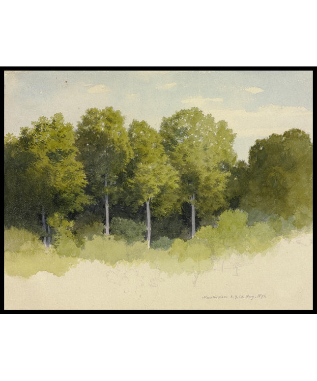 C. T. Reiffenstein Poster