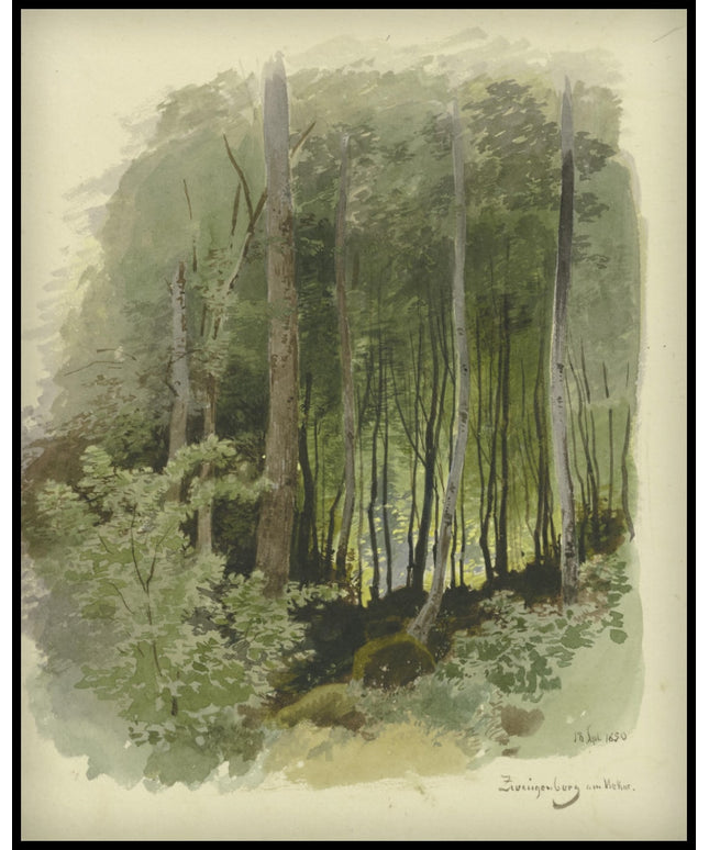 C. T. Reiffenstein Poster