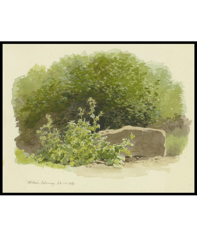 C. T. Reiffenstein Poster