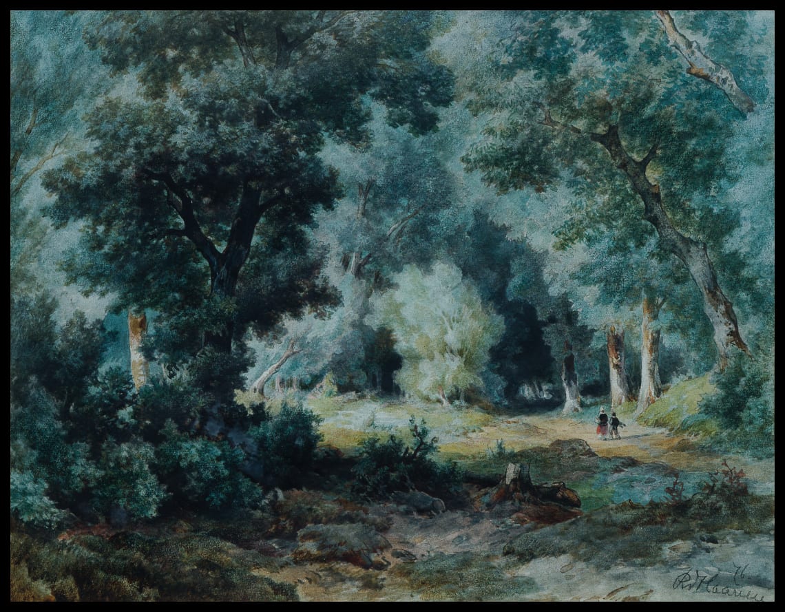 Waldinneres