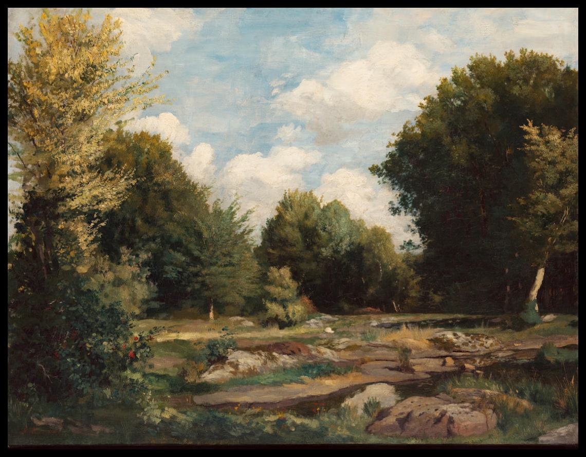 Clearing in the Woods
