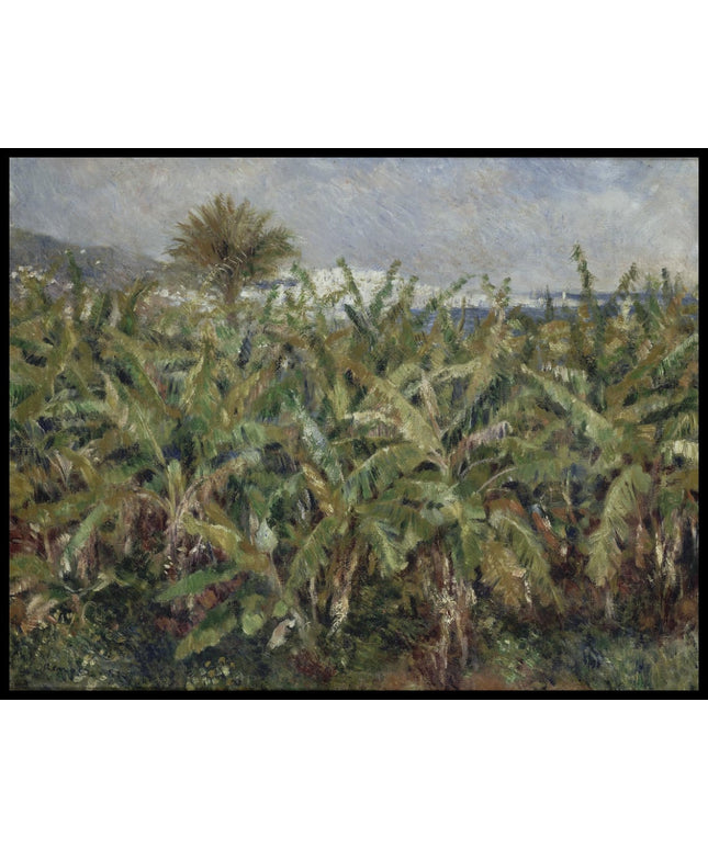 Field of Banana Trees