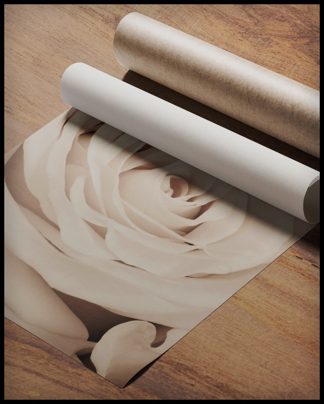Poster pétale de rose