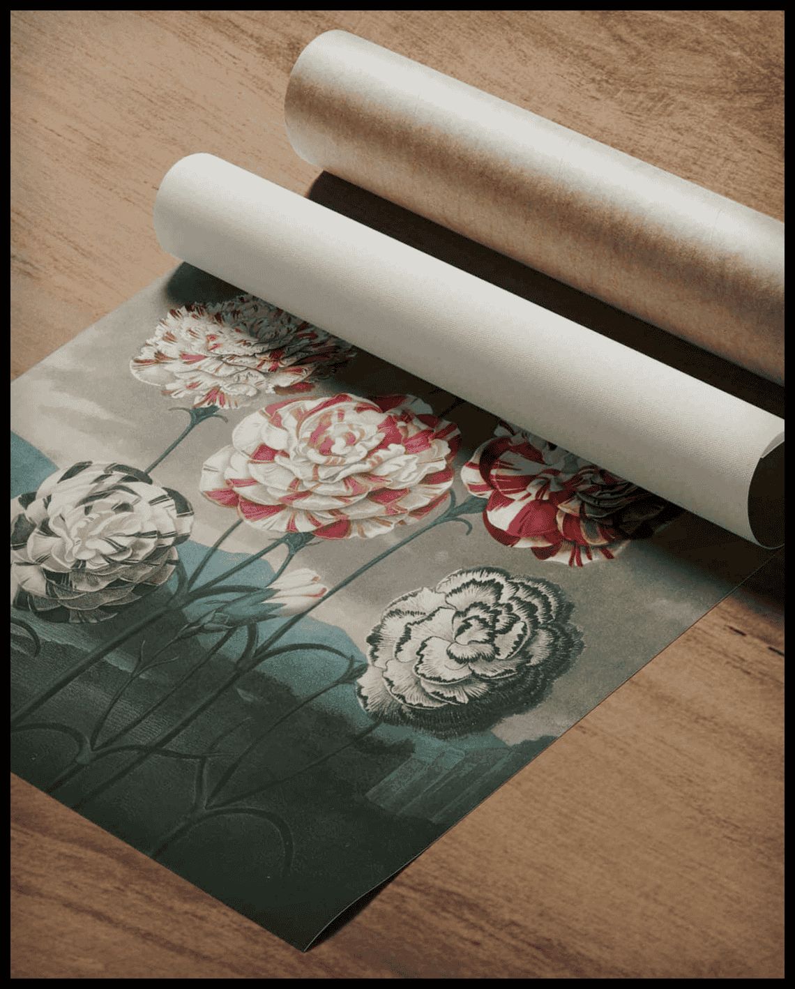 Group Of Carnations