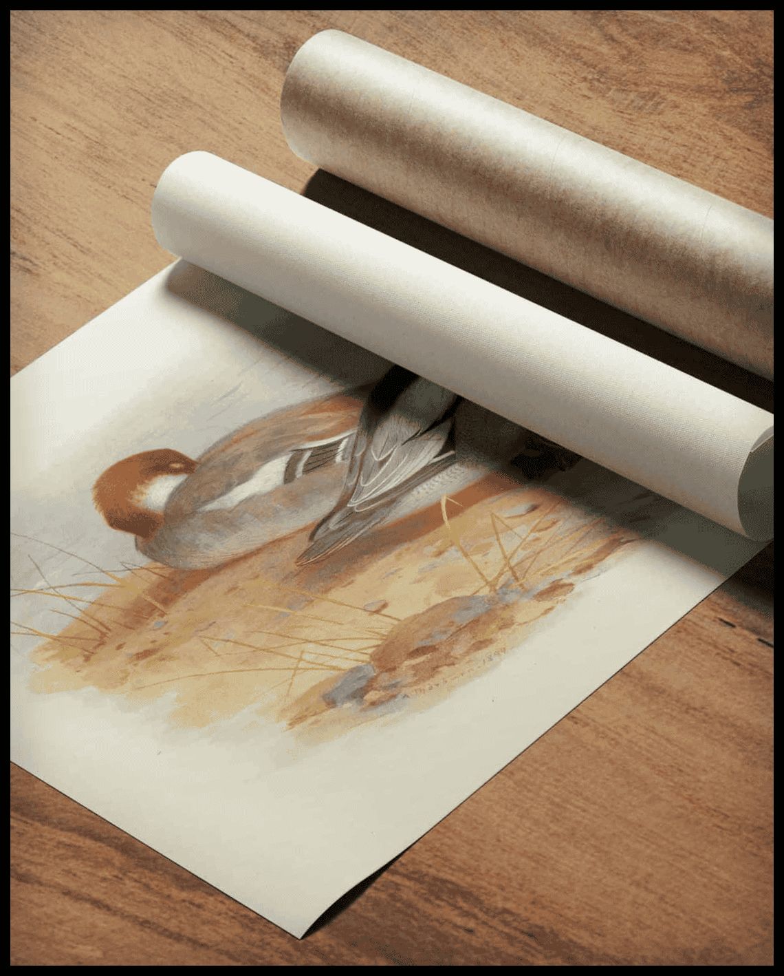 Zwergsäger Poster
