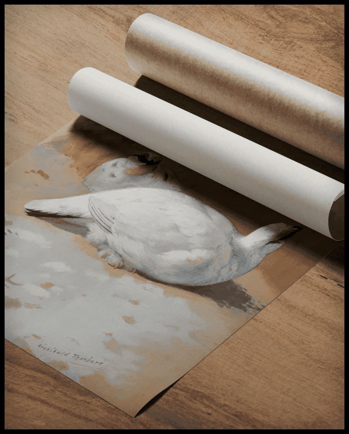 Alpenschneehuhn Poster
