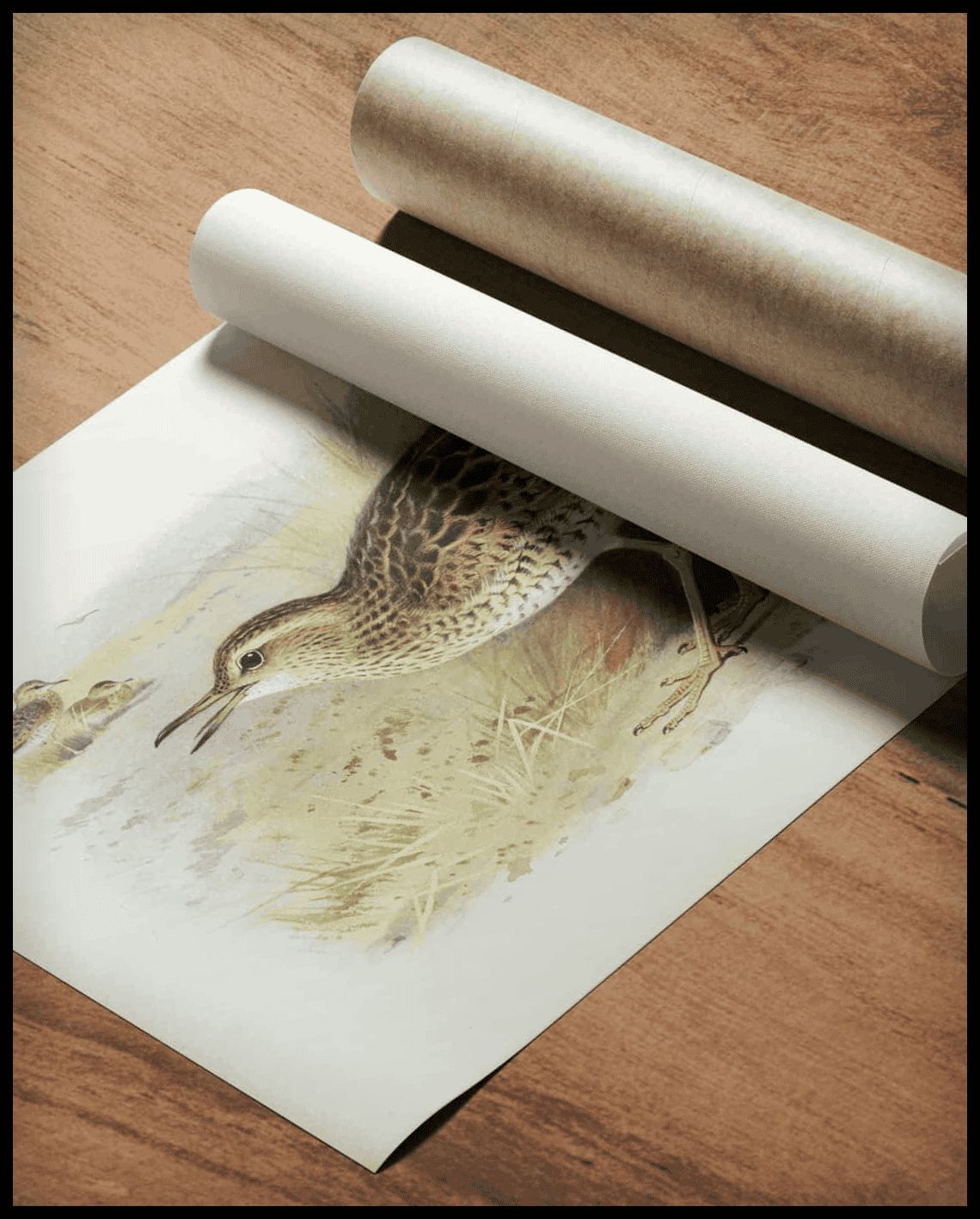 Regenpfeifer Poster