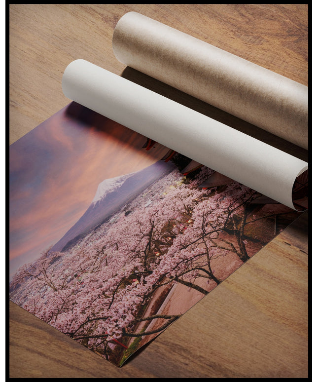 Ein Poster von der Chureito-Pagode vor dem Fuji-Berg bei Sonnenuntergang, umgeben von Kirschblüten, gerollt auf einer Holzoberfläche liegend
