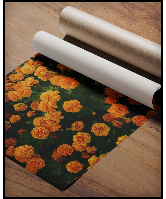 Ein Poster von leuchtend orangefarbenen Blumen in voller Blüte, gerollt auf einer Holzoberfläche liegend