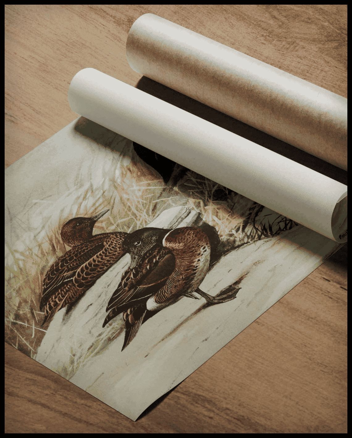 Brown ducks poster