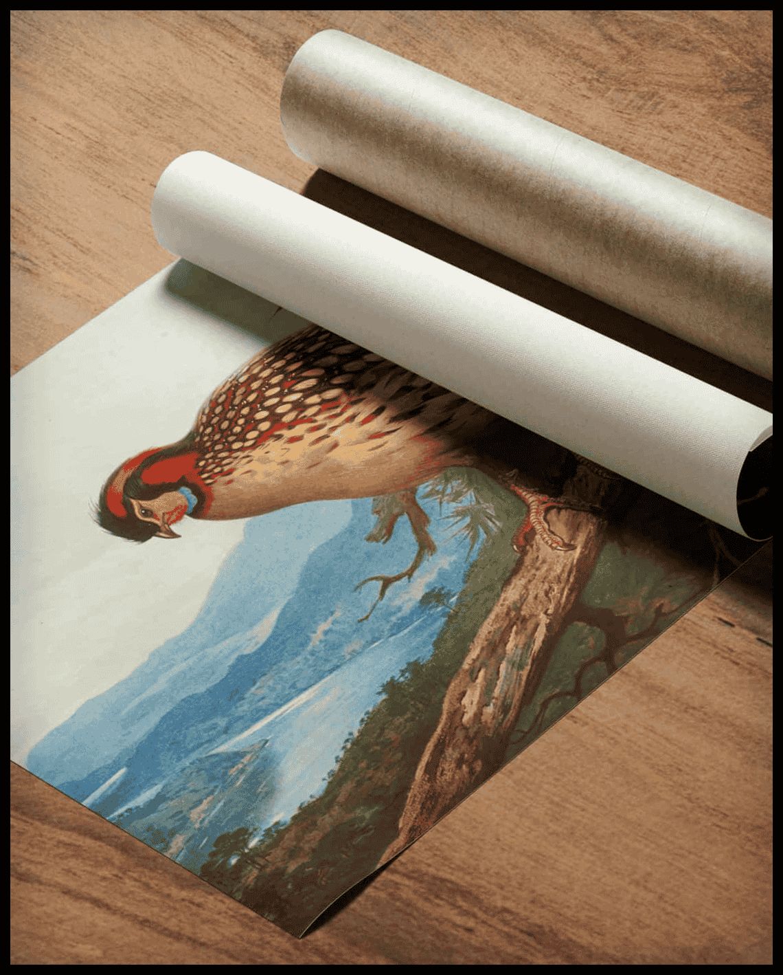 Cabottragopan Poster
