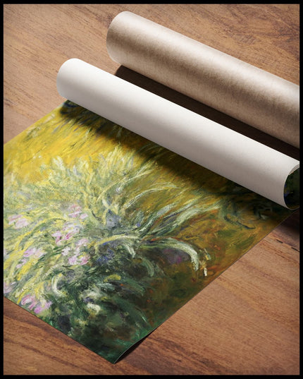 The Path through the Irises