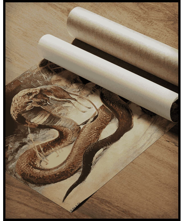 Cobra And Puff Adder