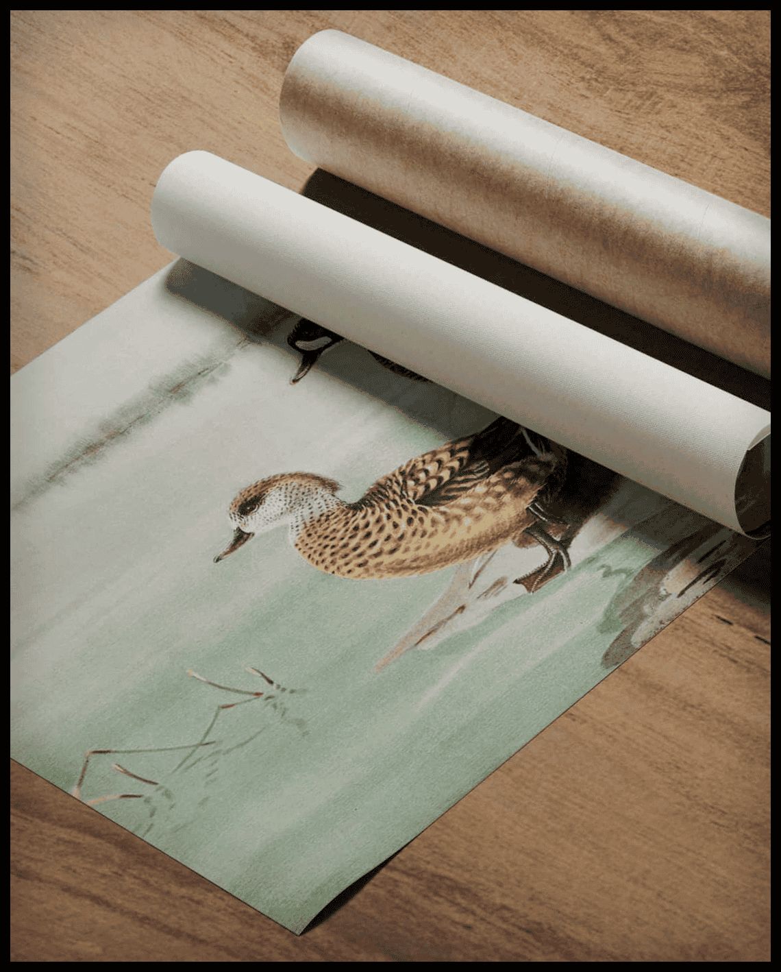 Haubenente Poster