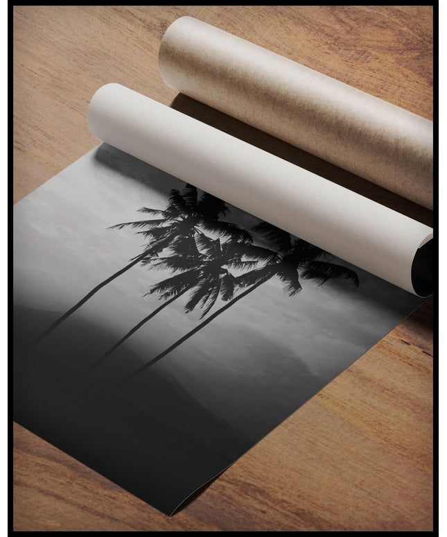 Ein Poster von drei Palmen, die in den Himmel ragen, in schwarz-weiß gehalten, gerollt auf einer Holzoberfläche liegend
