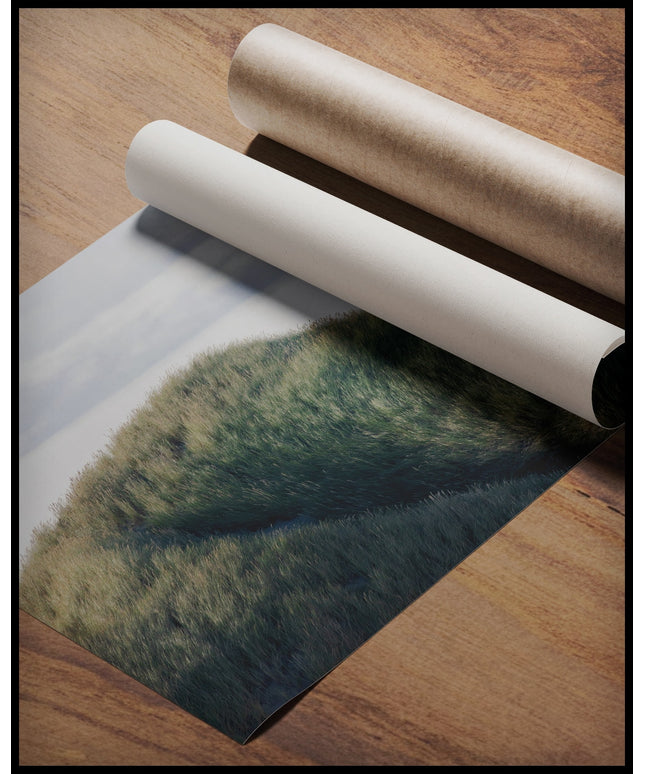 Ein Poster von grünen Gräsern auf einer Sanddüne, gerollt auf einer Holzoberfläche liegend