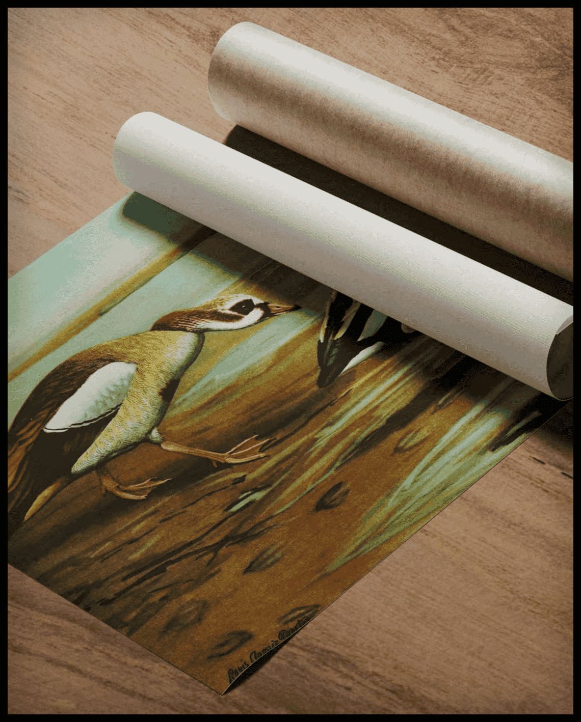 Nile Goose Poster