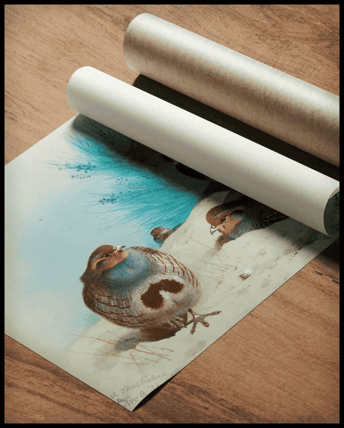 Rebhühner Poster