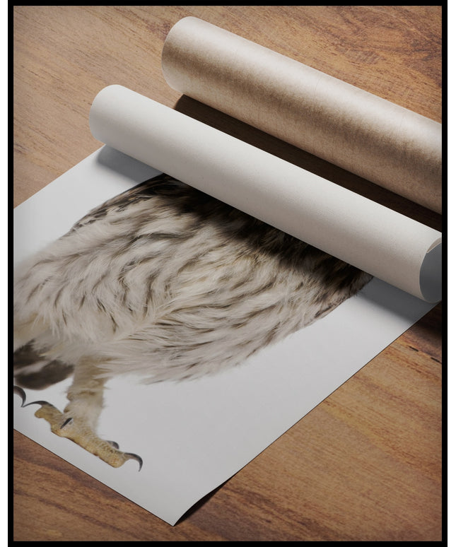 Ein Poster von einem Porträt einer Eule in detailreicher Nahaufnahme, gerollt auf einer Holzoberfläche liegend