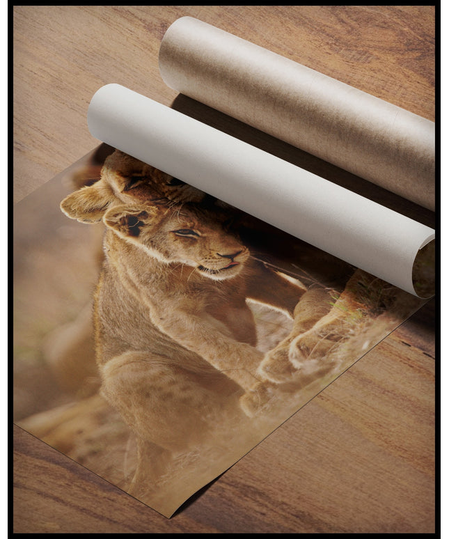 Ein Poster von einem Löwenjungen, der sich an seine Mutter kuschelt, beide ruhen im hohen Gras der Savanne, gerollt auf einer Holzoberfläche liegend