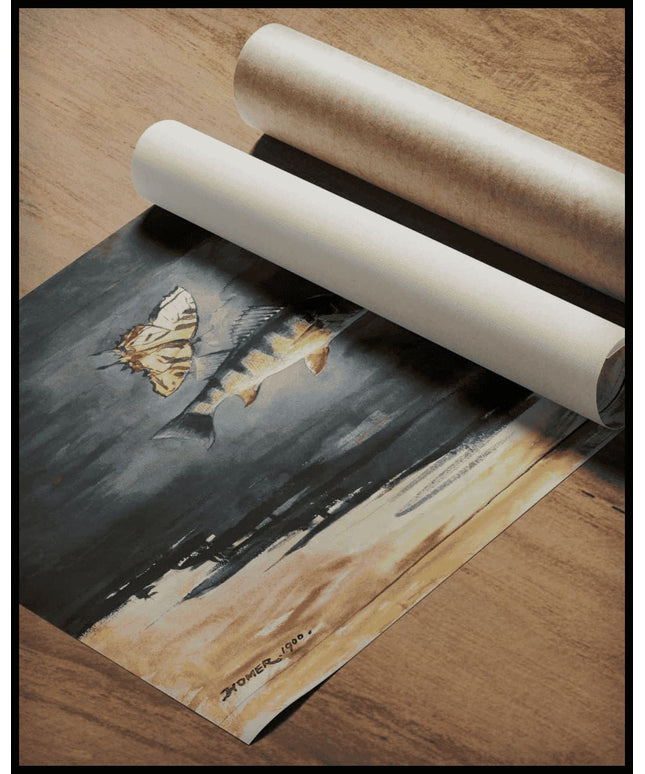 Fish And Butterflies