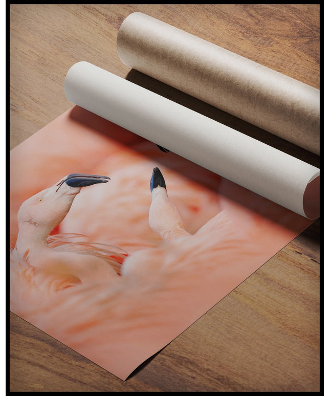 Ein Poster von drei Flamingos, die sich gegenüberstehen, gerollt auf einer Holzoberfläche liegend