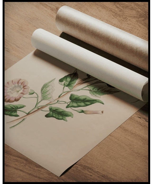 Storchschnäbel Poster