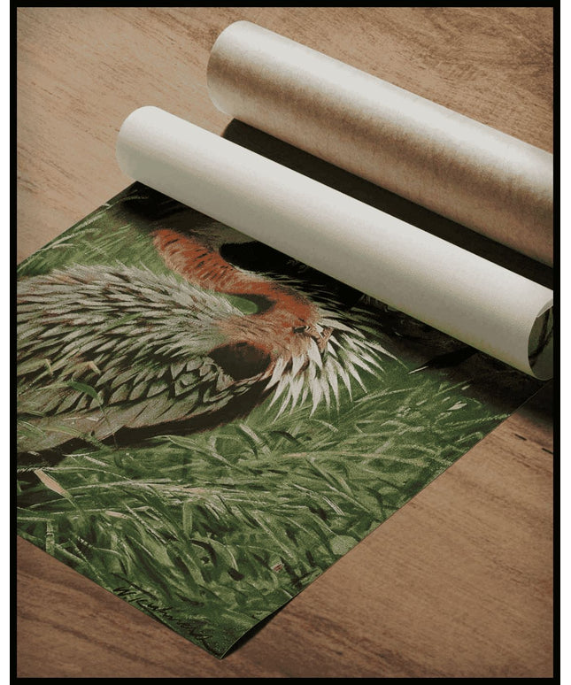 Giant Heron And Sea Eagle