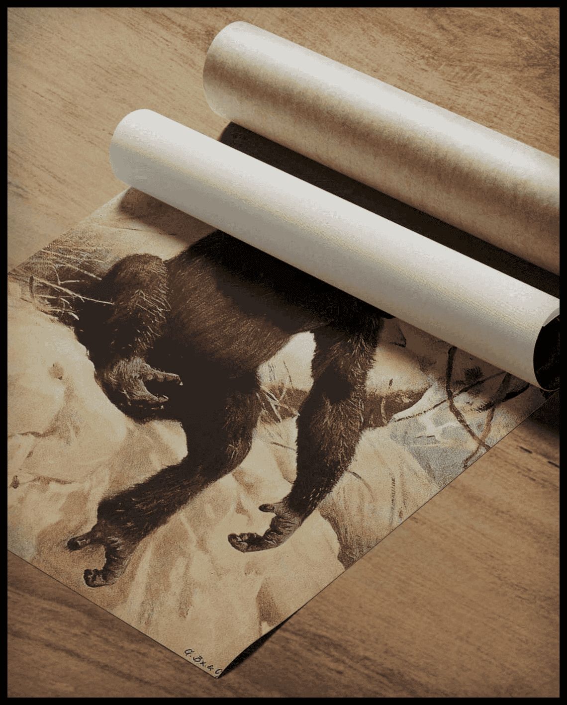 Gorilla