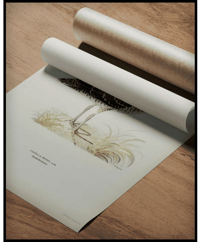 Capella Media Poster