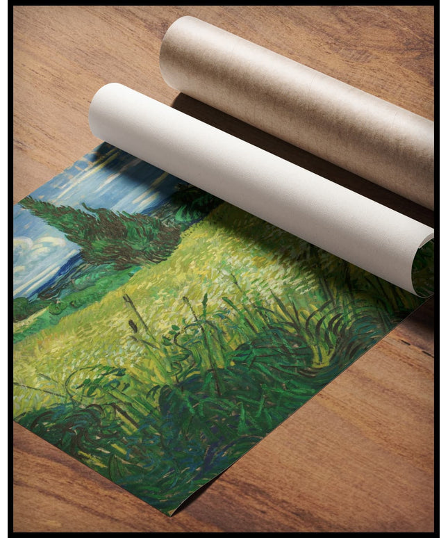 Grünes Weizenfeld mit Zypresse