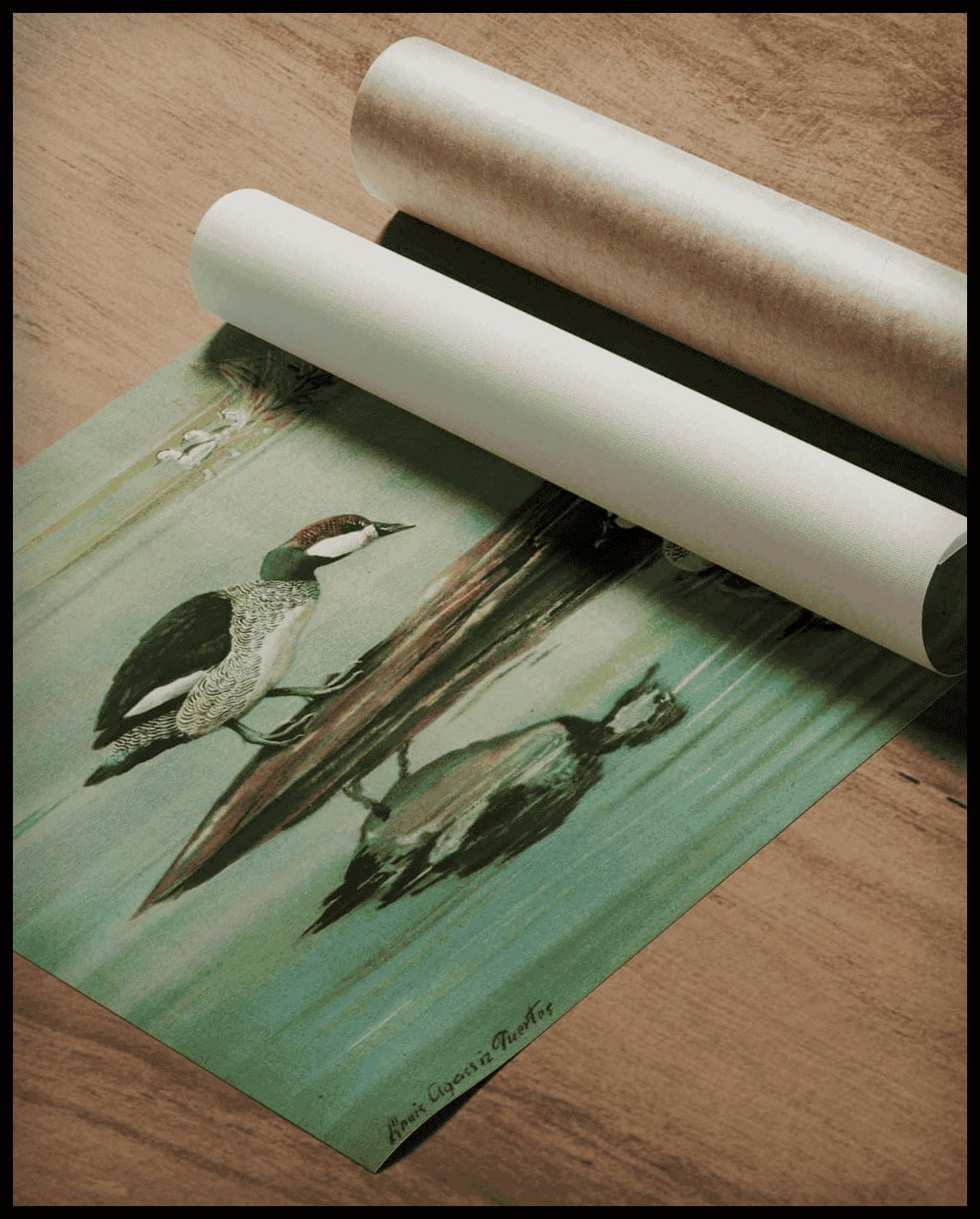Emerald dwarf duck poster