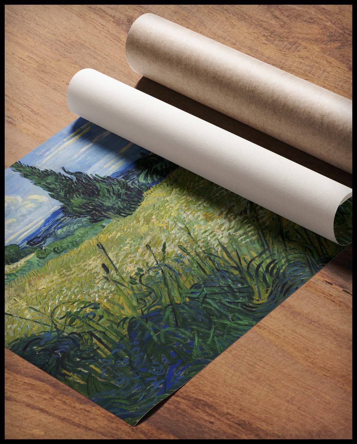 Green wheat field with cypress