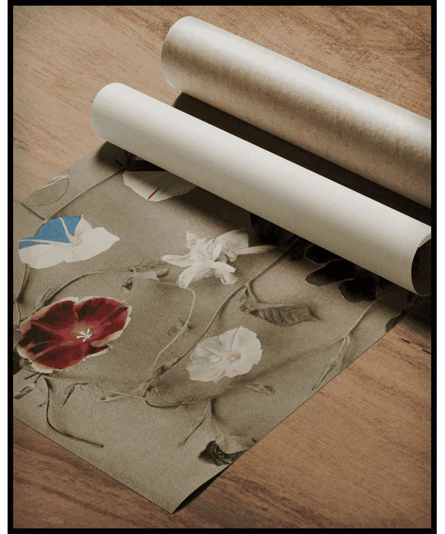 Group Of Morning Glories