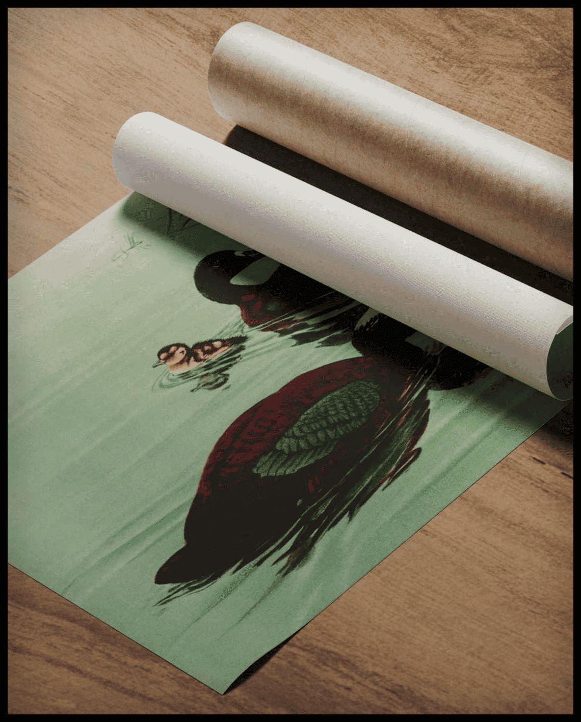 Hard-backed duck poster