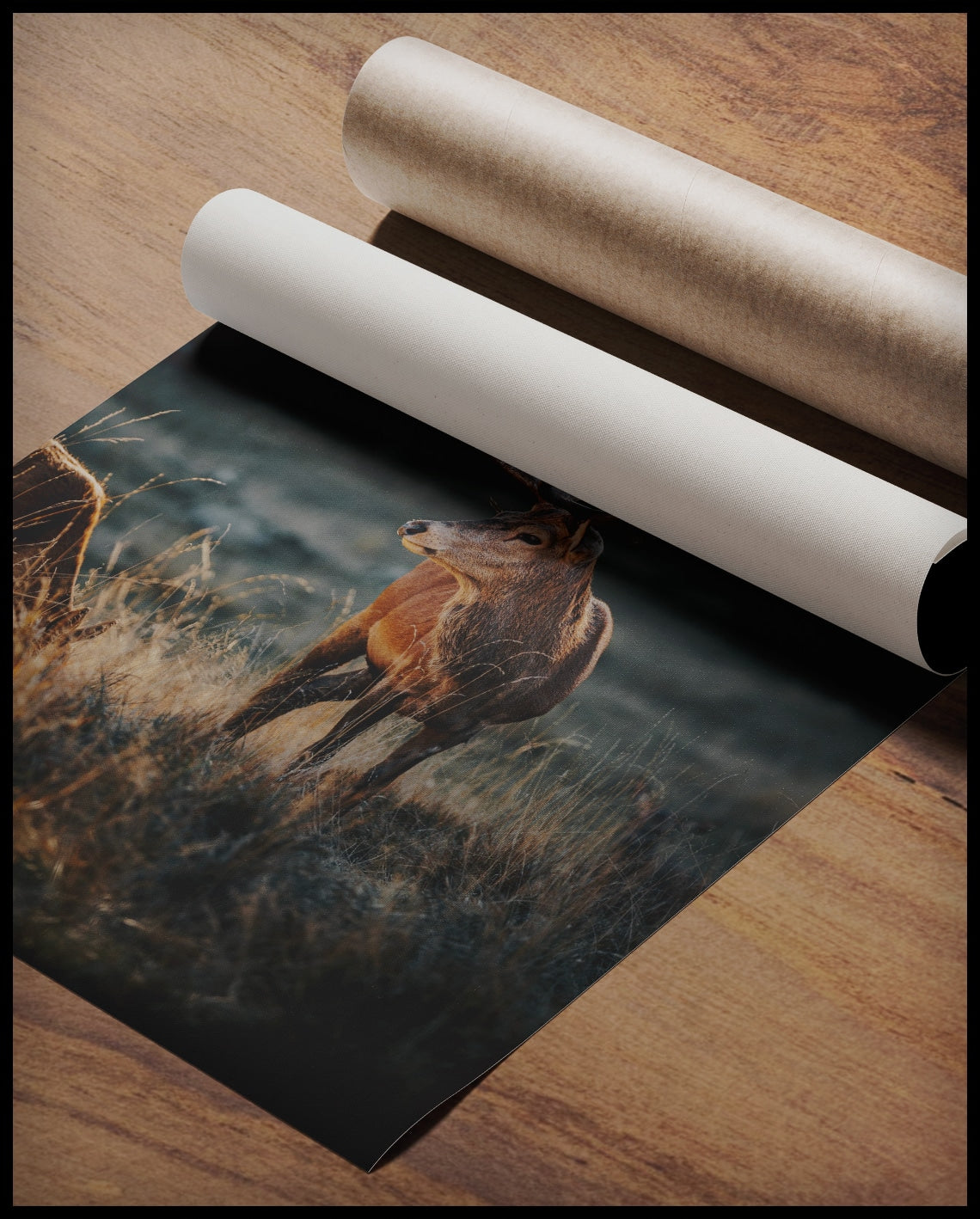 Ein Poster von einem majestätischen Hirsch mit großem Geweih in einer herbstlichen Landschaft, gerollt auf einer Holzoberfläche liegend