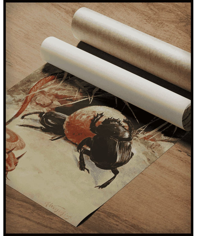 Horned Viper & Sacred Beetle