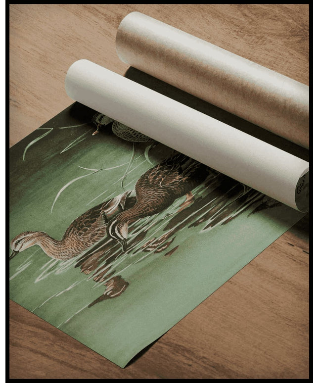 Fleckschnabelente Poster