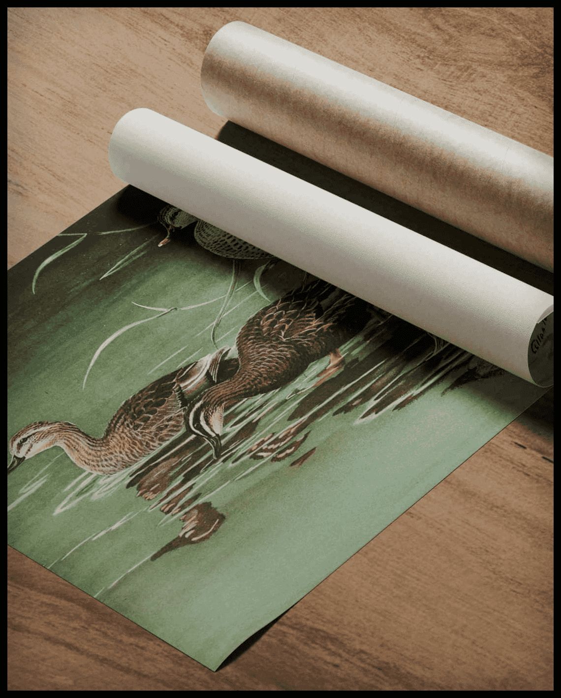 Fleckschnabelente Poster