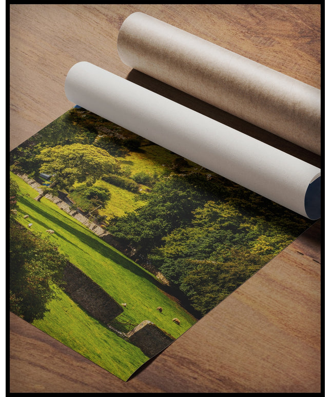 Ein Poster von den Ruinen des Rock of Cashel auf einem Hügel in Irland, umgeben von grünen Wiesen und Bäumen, gerollt auf einer Holzoberfläche liegend