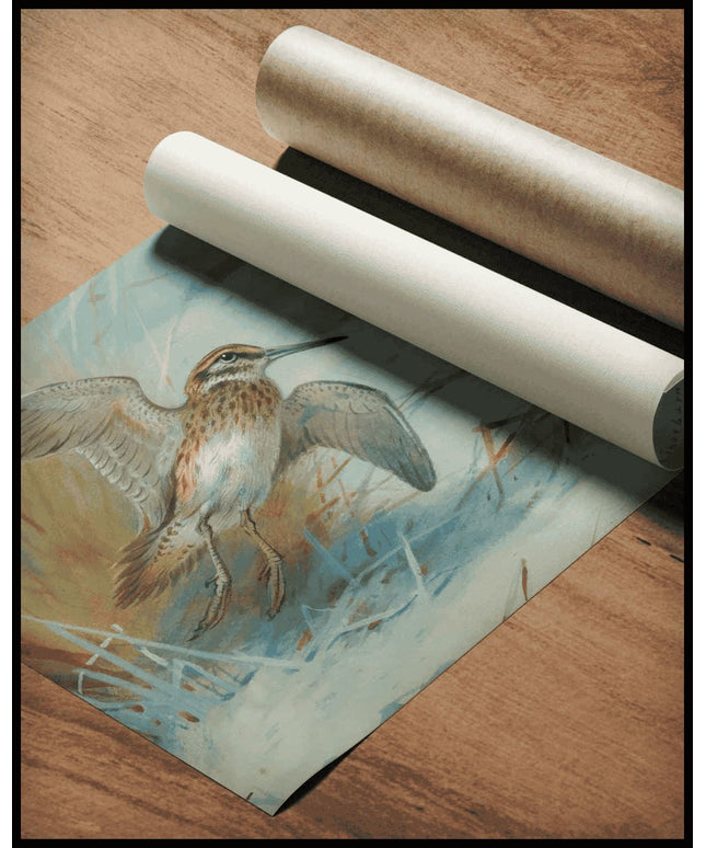 Zwergschnepfe Poster
