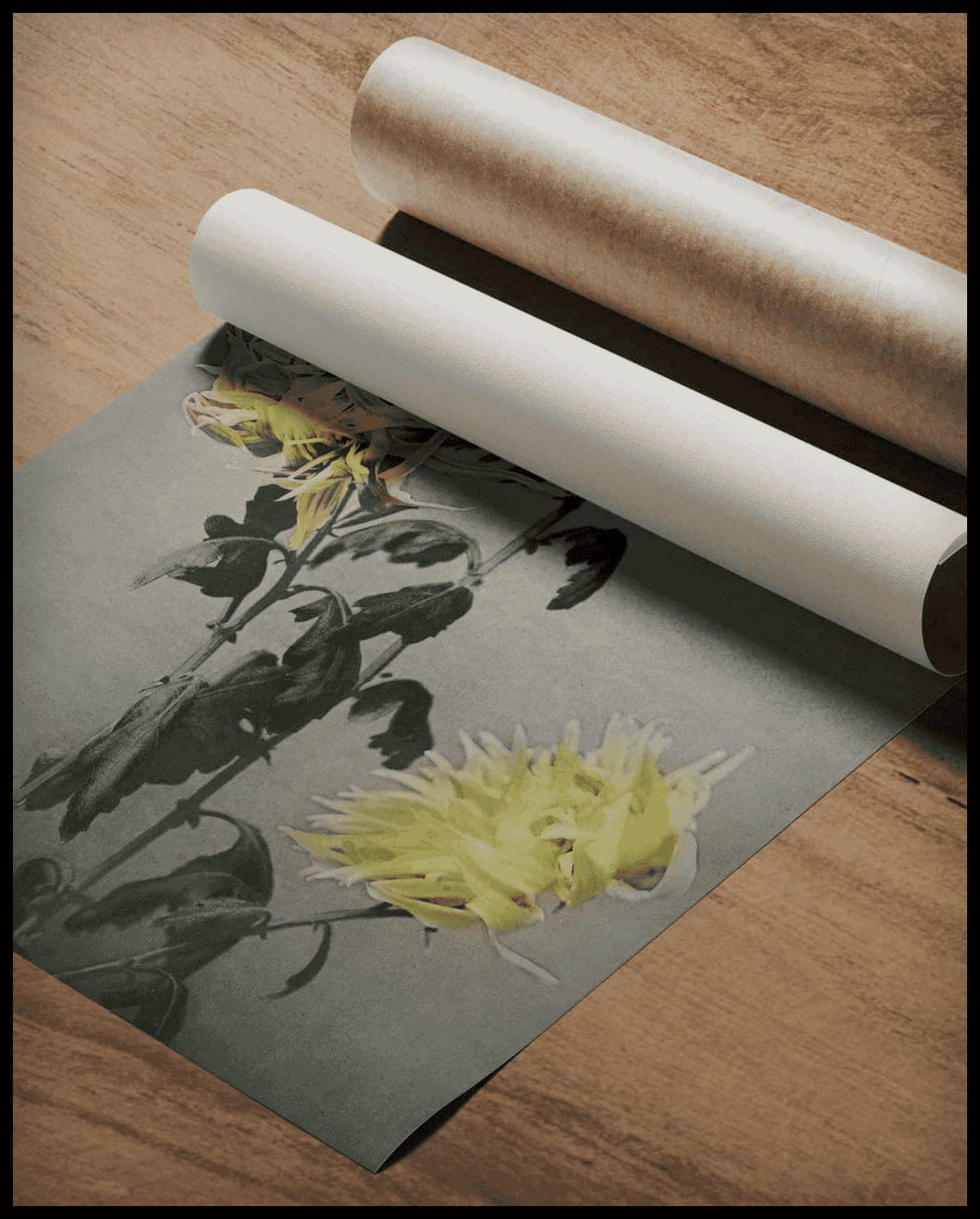 Japanese Flowers